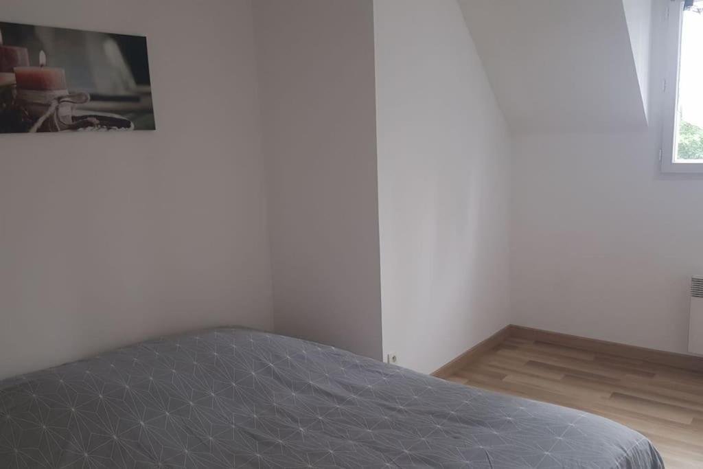 Logement Plein Centre De Plerin A Proximite Des Plages Et Des Commerces Zewnętrze zdjęcie