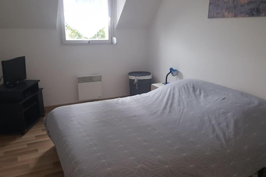 Logement Plein Centre De Plerin A Proximite Des Plages Et Des Commerces Zewnętrze zdjęcie